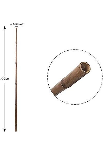genric FFD Natural Bamboo Plant Supports - 60cm Gardening Stakes Pack of 5