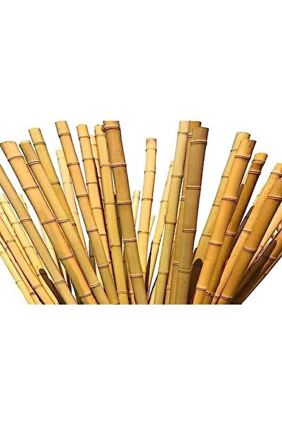 genric FFD Natural Bamboo Poles for Plant Support 100cm Pack of 5