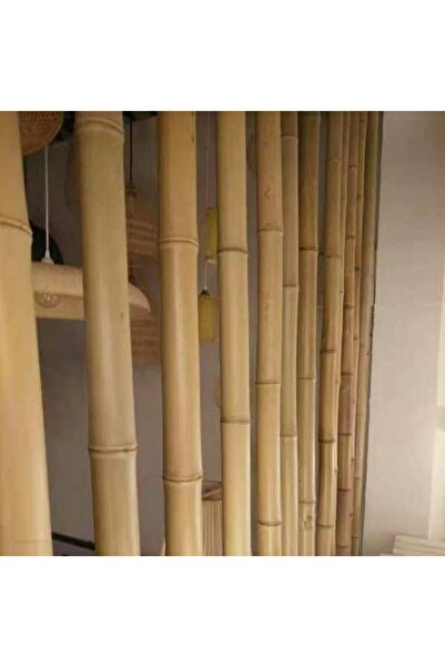 genric FFD Natural Bamboo Plant Supports - 60cm Gardening Stakes Pack of 5