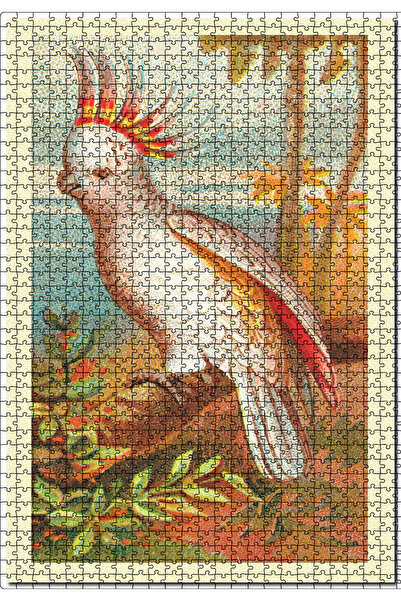 Cakapuzzle Cakasepetim Owl with a Ring Image 1000 Piece Puzzle Jigsaw Mdf (Wood)