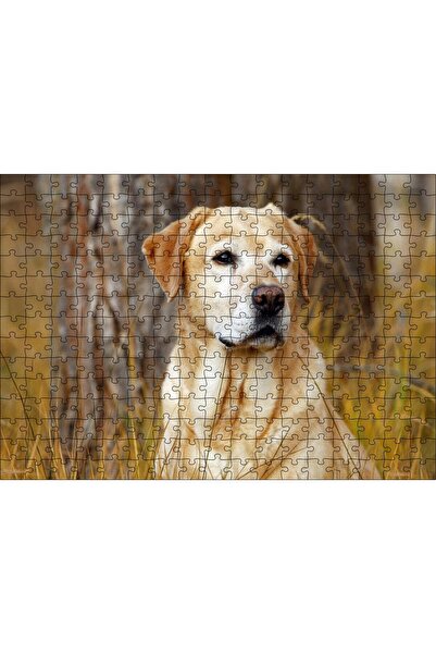 Cakapuzzle Cakasepetim Labrador among the Dry Herbs 120 Piece Puzzle Jigsaw M...