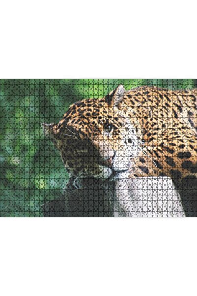 Cakapuzzle لغز تركيب الصور المقطوعة من 1000 قطعة، تصوير مقرب لفهد يرتقى على ج...