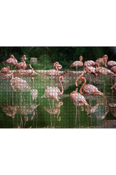 Cakapuzzle Cakasepetim Flamingos Fed in the Still Lake 1000 Piece Puzzle Jigs...