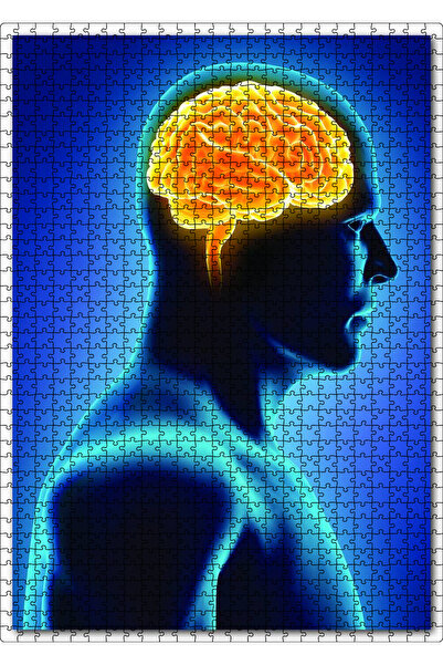Cakapuzzle Cakasepetim Human Internal Organ Brain. 1000 Piece Puzzle Jigsaw M...