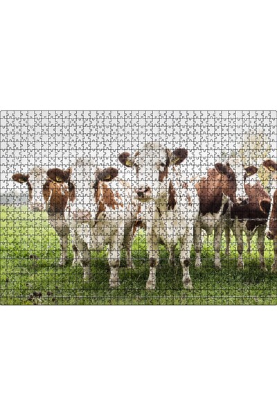 Cakapuzzle Cakasepetim Cows on the Meadow Near a Wire Fence 1000 Piece Puzzle...