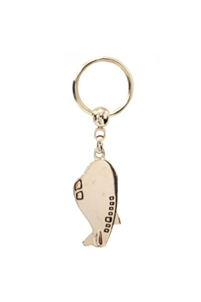 Havaci Market 747 Special Design 3D Silver Airplane Metal Keychain