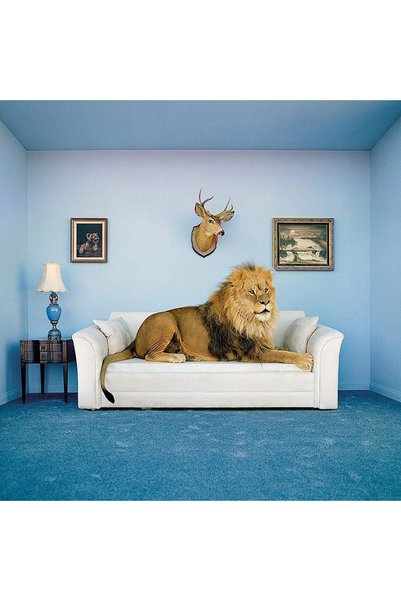 CLEMENTONI Puzzle 250 piese - Frame Me Up - The Master of the House