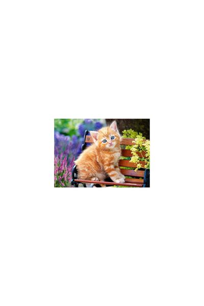 Castorland Puzzle - Ginger Kitten, 180 Piese