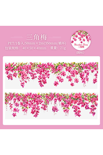 choice2 2 5*200cm 1roll INS Fresh vine theme PET tape Stickers Adhesive Diy S...