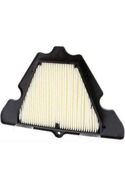 FERODO Motorcycle Air Filter CAF1920 - Compatible with Kawasaki Z, Champion B...