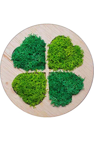 OEM Decor Trifoi cu 4 Foi HH1539 din lemn Personalizat cu Licheni - 10x10 cm