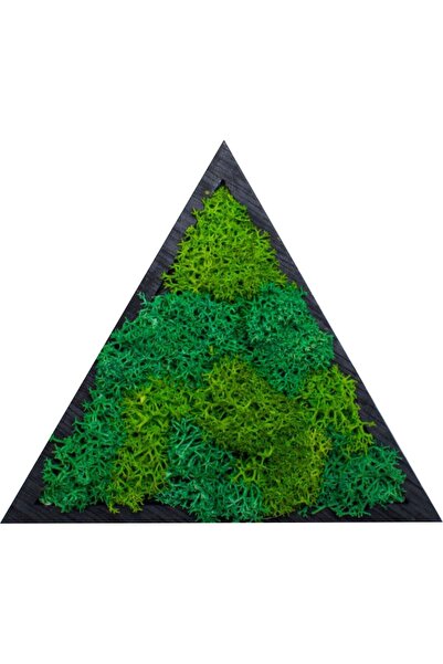 OEM Decor Forma Triunghi HH1541 din lemn Personalizat cu Licheni - 40x35 cm