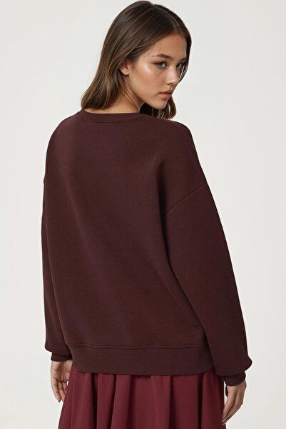 Hiccup Άνετο φούτερ με κέντημα ζώων με λαιμόκοψη με κουκούλα