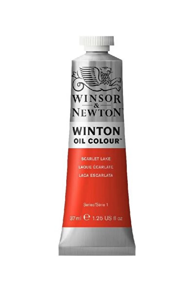 Winsor Newton Winton Multi Oil Color Set