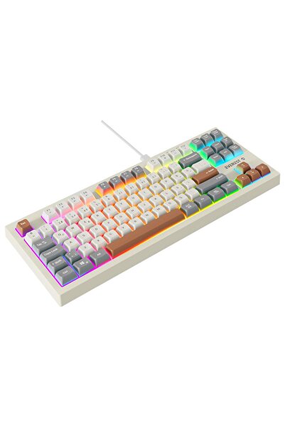 Appa Everest KB-98 SILENT TKL-MİNİ Gri/Gri Mavi/Kahve Rainbow Q Membrane Klavye