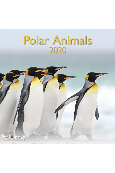 teNEues Grid Calendar 2020 Polar Animals 30 x 30 cm