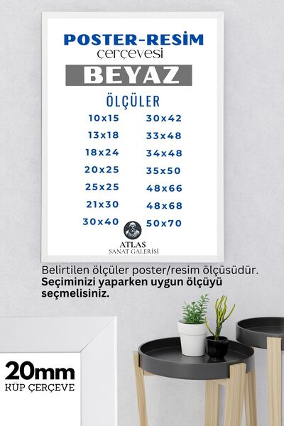 ASG Poster Resim Belge Resim Çerçevesi PVCli Postersiz Resimsiz BEYAZ Çerçeve