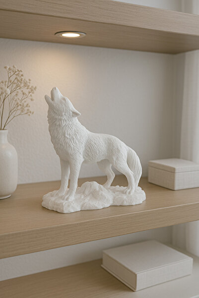Decostonebiga KURT BİBLO
