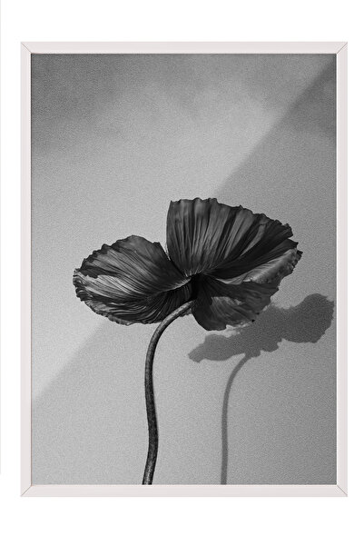 Zestia Tablou înrămat alb, floare de mac minimalistă alb-negru, poster decora...