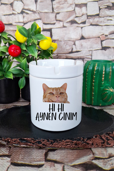 qoeuyl boutique Aynen Cinim-Cat Printed Fun Gift Ceramic Lidless Ashtray with Ceramic Lid