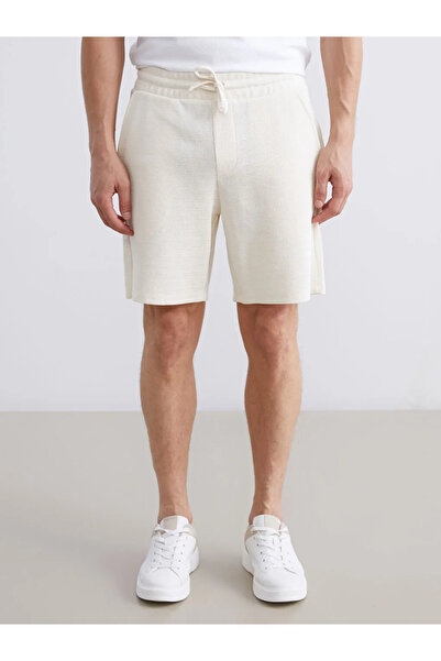 LC Waikiki Lcw visiongri standard fit men's shorts