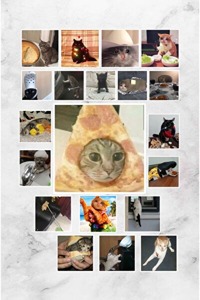 Hediyeni Al Set de autocolante Funny Cats Seria 2 |   Agenda pentru laptop No...