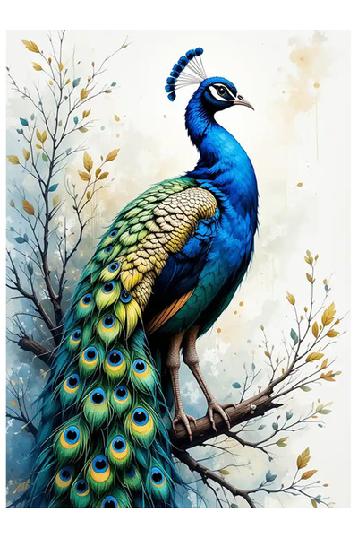 Bedeko Tavus Kuşu Resimli Mdf Tablo