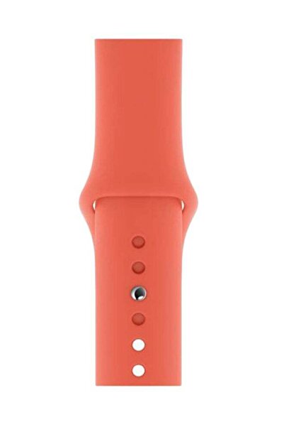 Perfii Solid Replacement Band For Apple Watch Series 5/4/3/2/1 Apricot