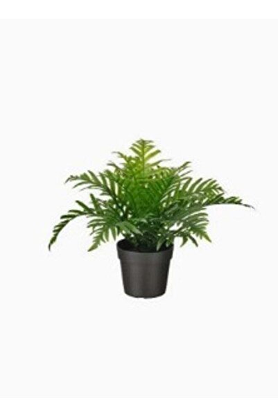 Generic Artificial plant in an outdoor indoor pot fern 9 cm