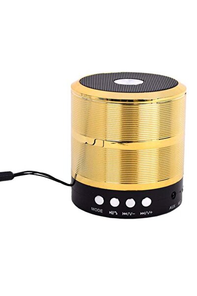 Generic WA-888 Bluetooth Speaker With Aux Wire Gold