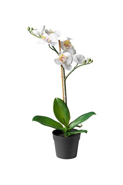 Generic Artificial Potted Orchid Plant Green/White/Black 38x9centimeter