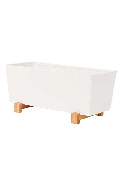 Generic وعاء نبات أبيض