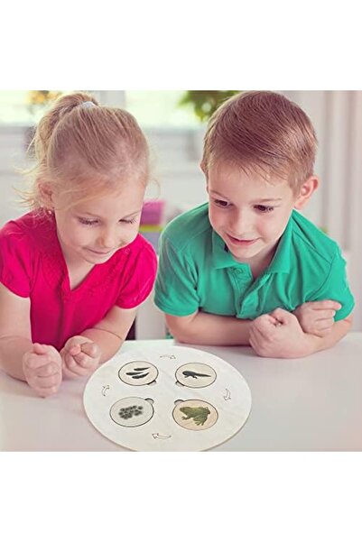 Gracieux Moda Montessori Wooden Educational Life Cycle Tray Toy, Learning Animals for Preschool Children
