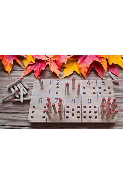 ERC Montessori Number Learning and Counting Skills Acquisition Educational Wo...