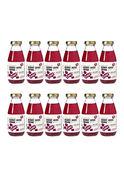 volga joy عصير التوت (مضاف إليه سكر)، عبوة من 12 × 300 مل