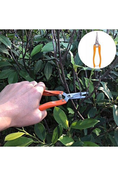 Flippy Set 12 Gardening Tools, Flippy, with Orange Handles, PVC & Cardboard Material, Box Included, Black,