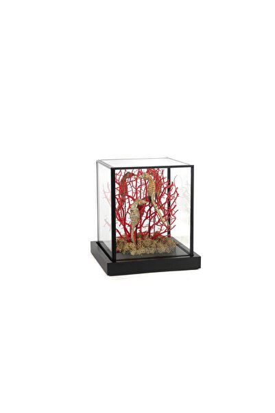 Mikasa Moor Coral Oranj Gold Dekoratif Cam Fanus 19x19x21cm