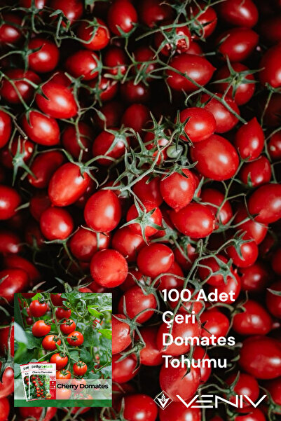 VENİV AGRİCULTURE 100 Adet Çeri Domates Tohumu 2 Paket