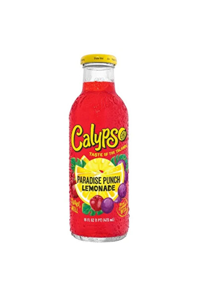 Calypso Paradise Punch Lemonade - Fruit Flavored Lemonade 473 ml