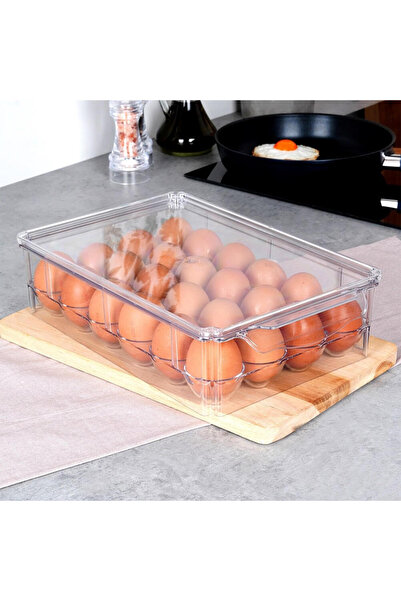 Vilde Organizer Box For 24 Eggs, Vilde, 32x21x8cm, Plastic, Transparent