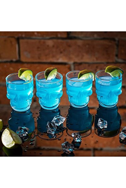 Gadget Master Set of 4 Skull-Shaped Glasses