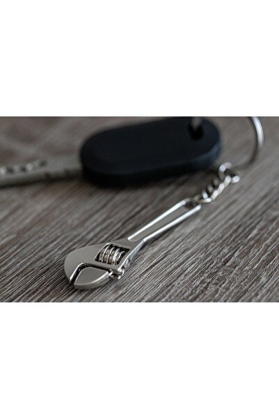 Gadget Master Keychain French Key