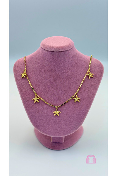 Moond Accessories قلادة ذهبية على شكل نجمة فولاذية