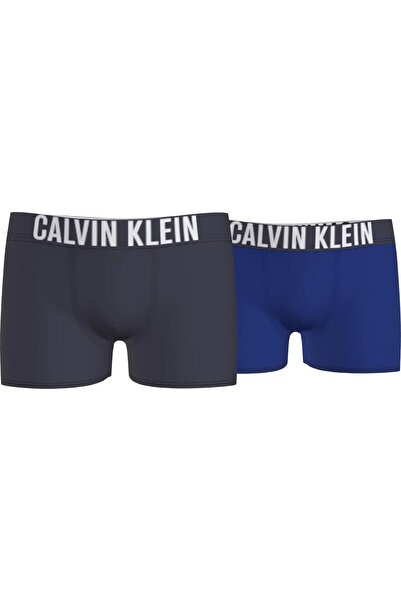 Calvin Klein 2PK BOXER BRIEF Erkek Mavi Boxer Set