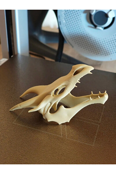 FLEXIS WE MAKE IT POSSIBLE FOR YOU Skyrim Ejderha Kafatası (Dekoratif Ürün)
