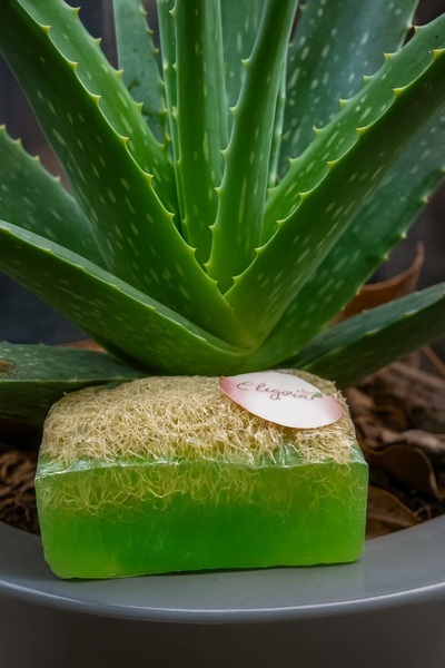 Eligora Cildinize Aşk Katan Aloe Vera Kabak Lifli Sabun