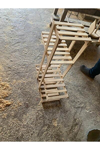 Tunca Saksılık çiçek