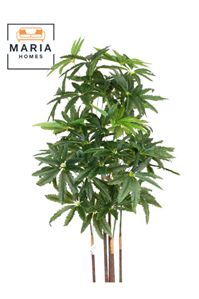 MARIA HOMES Artificial Aralia Tree 170 cm – 5 Branches with Beige Plastic Pot