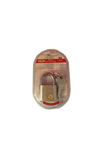 ForWhat 40mm Hanging Chrome Lock for Office Workplace Home Garden Door Shutter