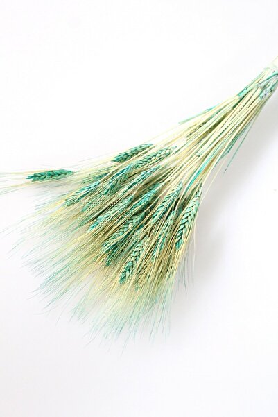 Yapay Çiçek Deposu Тюркоазено сухо кочанче царевица